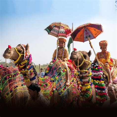 pushkar camel fair 2022